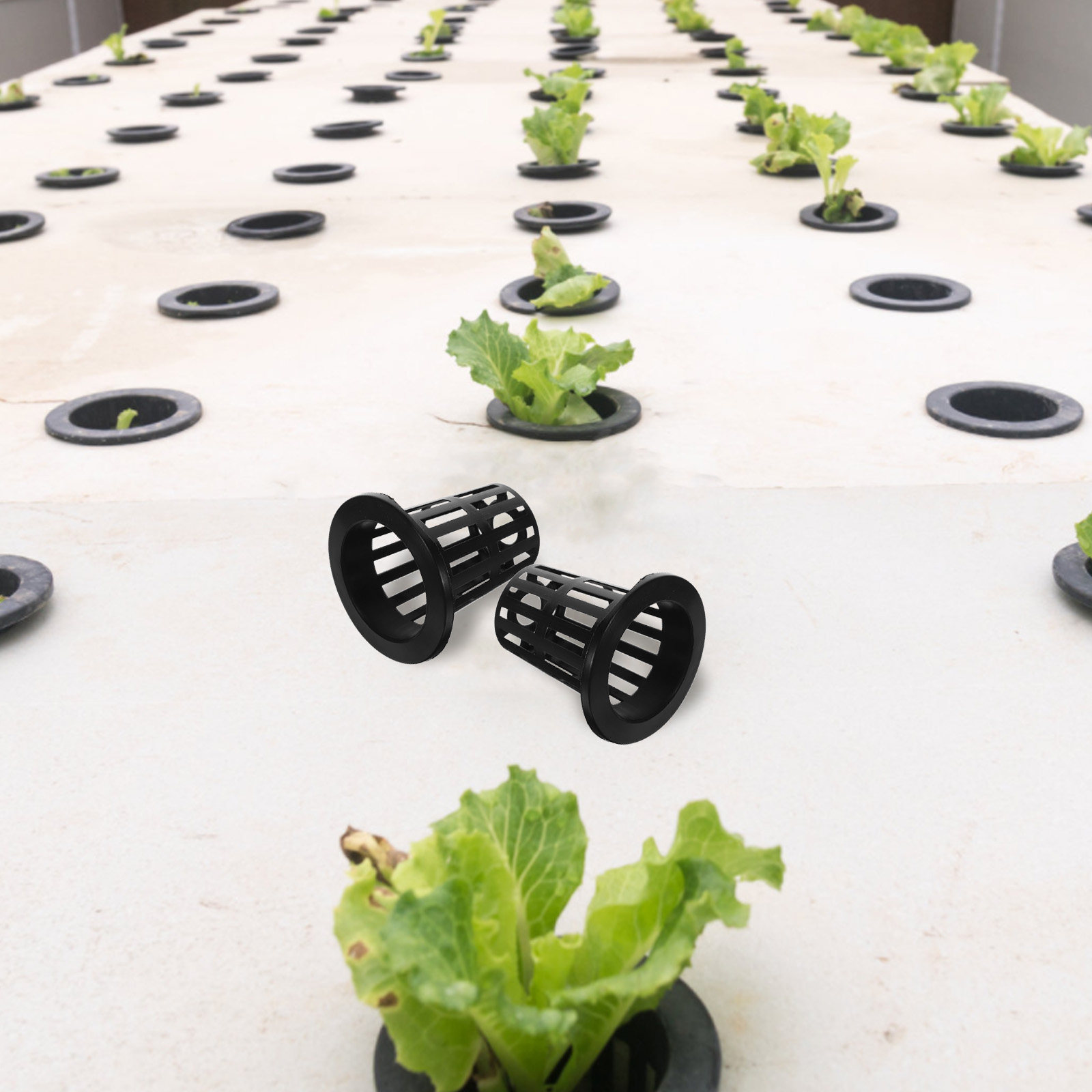 50Pcs Plastic Hydroponic Net P - đánh giá và giá Plastic Cup 50Pcs