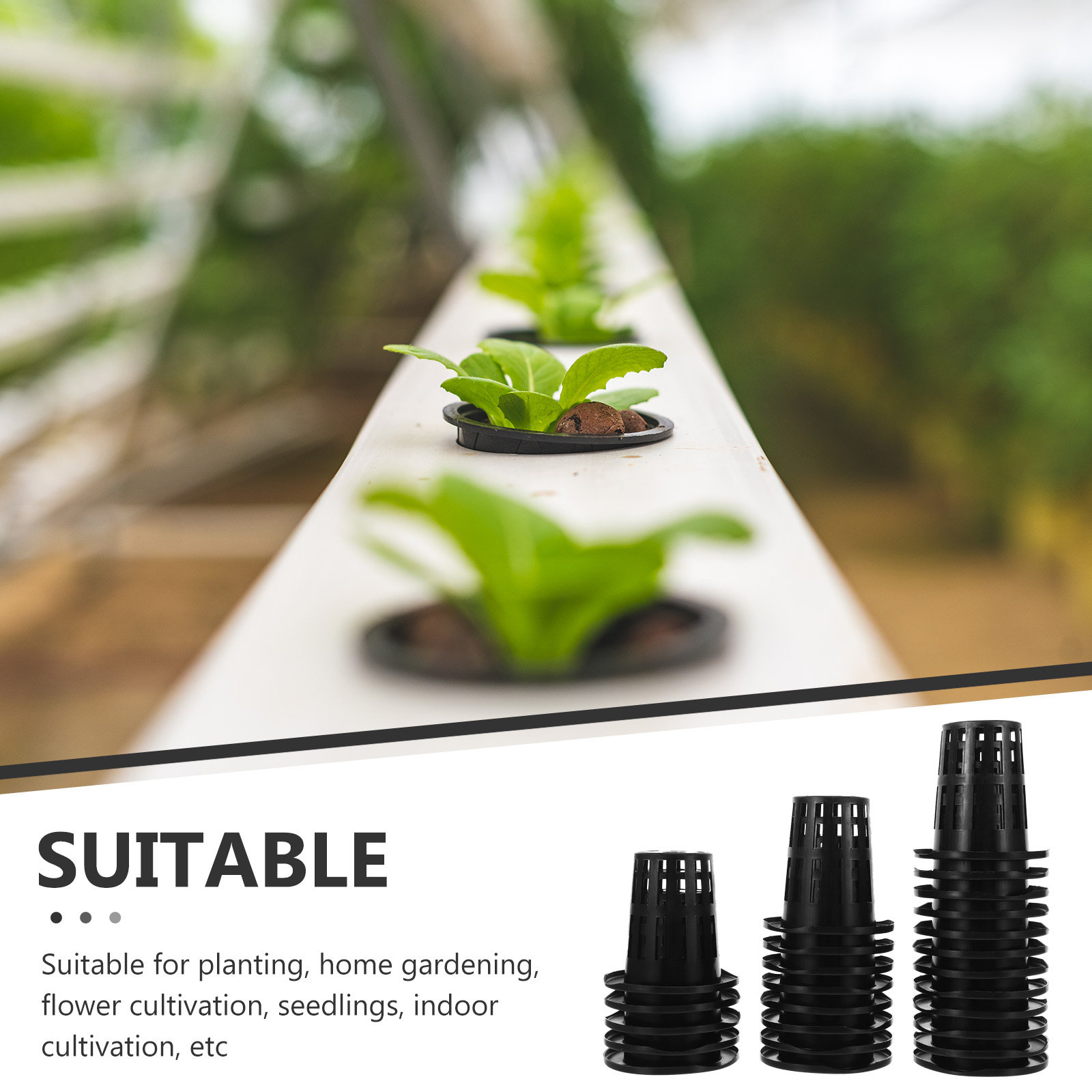 50Pcs Plastic Hydroponic Net P - đánh giá và giá Plastic Cup 50Pcs