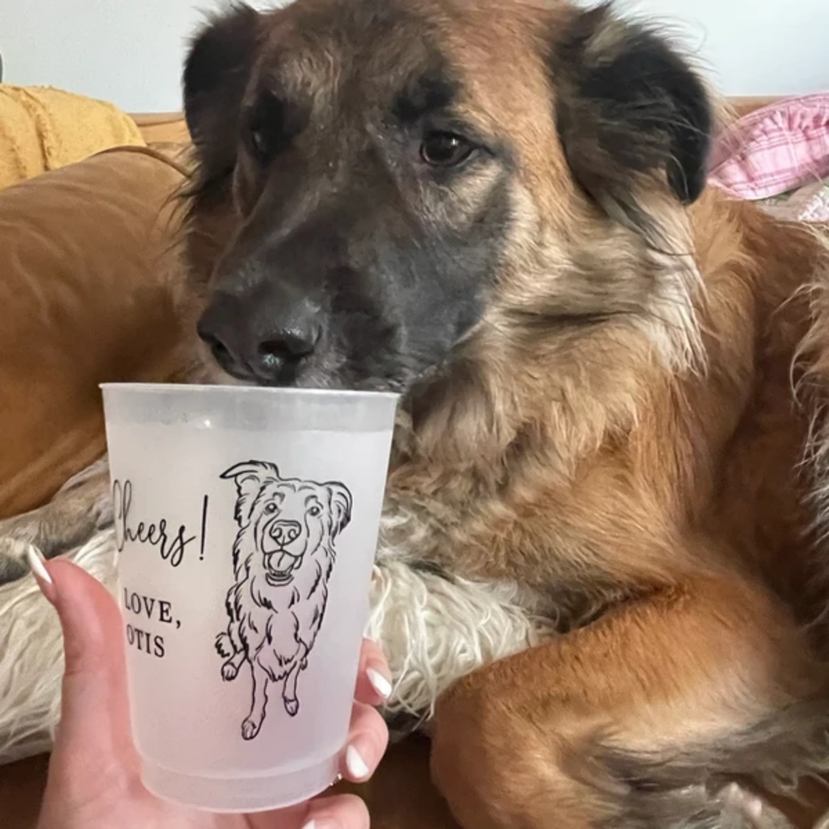 10/50 Personalized Senior Phot - đánh giá và giá Plastic Cup 50Pcs